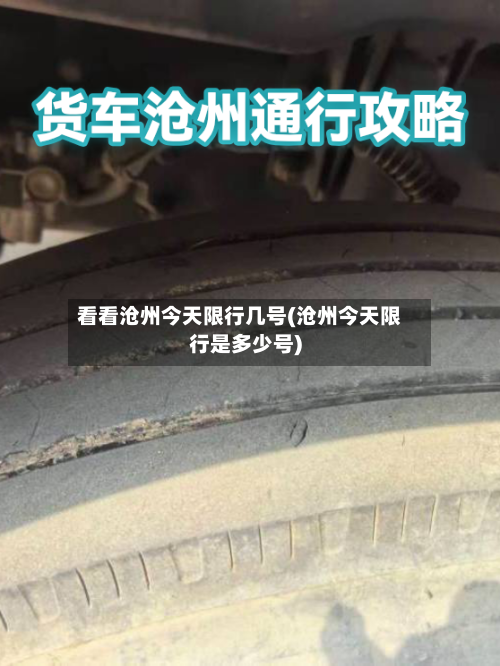 看看沧州今天限行几号(沧州今天限行是多少号)-第3张图片