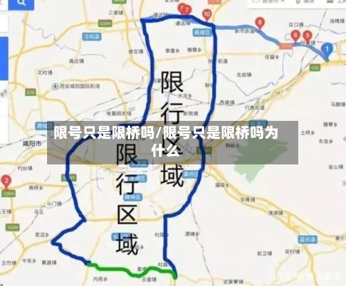 限号只是限桥吗/限号只是限桥吗为什么-第3张图片