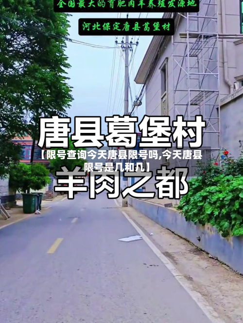 【限号查询今天唐县限号吗,今天唐县限号是几和几】