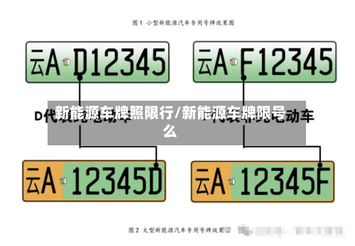 新能源车牌照限行/新能源车牌限号么-第2张图片