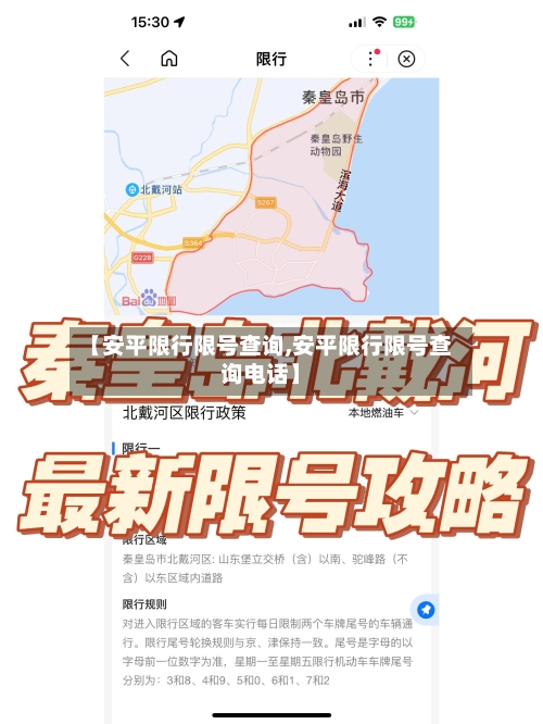【安平限行限号查询,安平限行限号查询电话】-第3张图片