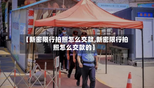 【新密限行拍照怎么交款,新密限行拍照怎么交款的】