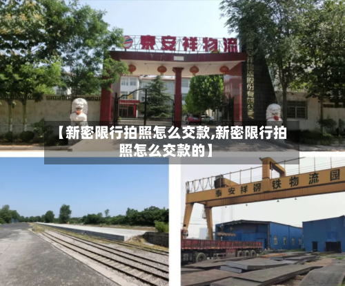 【新密限行拍照怎么交款,新密限行拍照怎么交款的】-第2张图片