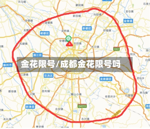 金花限号/成都金花限号吗-第3张图片