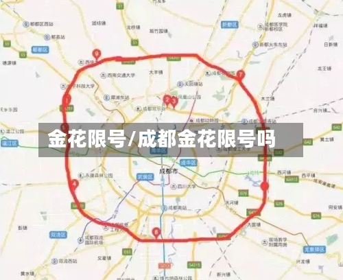 金花限号/成都金花限号吗-第2张图片