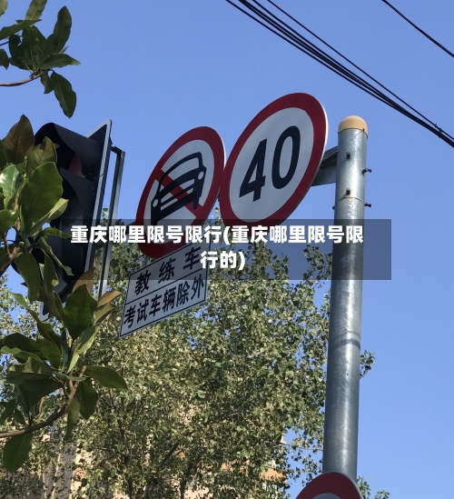 重庆哪里限号限行(重庆哪里限号限行的)-第2张图片