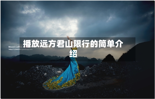 播放远方君山限行的简单介绍-第2张图片