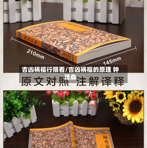 吉凶祸福行限看/吉凶祸福的原理 钟茂森