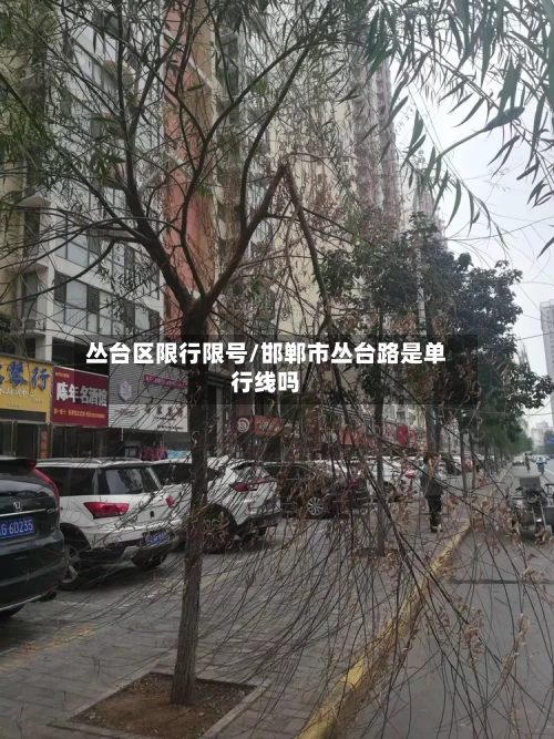 丛台区限行限号/邯郸市丛台路是单行线吗
