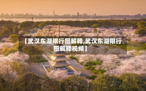 【武汉东湖限行图解释,武汉东湖限行图解释视频】-第2张图片