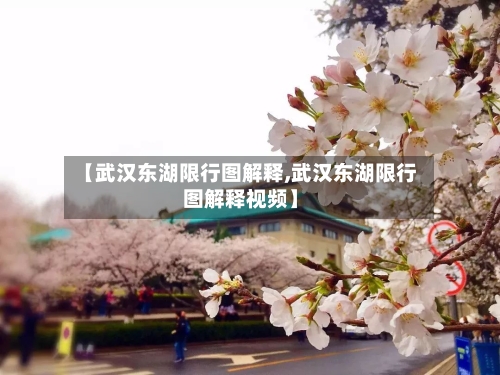 【武汉东湖限行图解释,武汉东湖限行图解释视频】