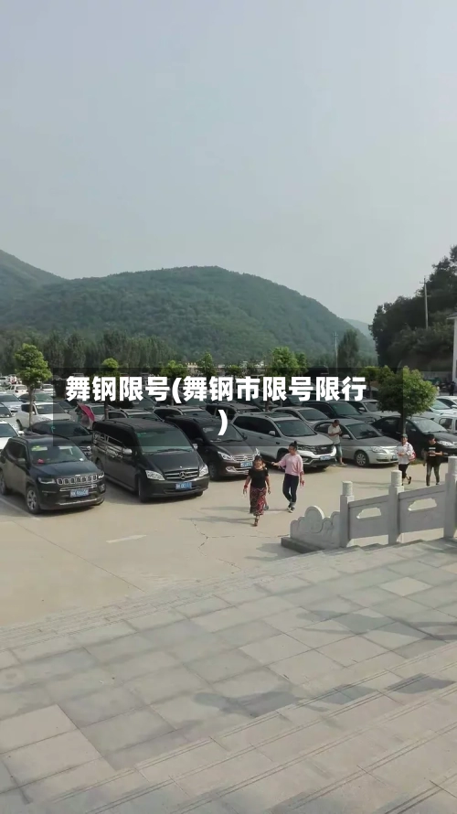 舞钢限号(舞钢市限号限行)