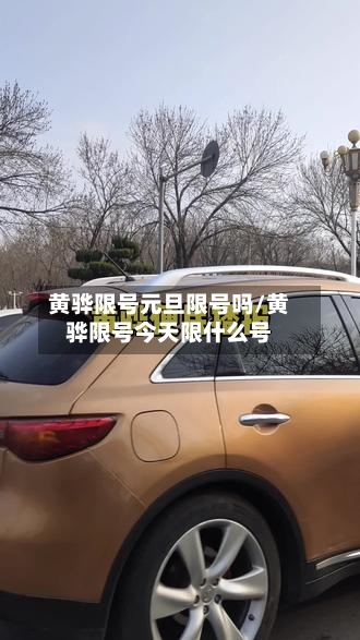 黄骅限号元旦限号吗/黄骅限号今天限什么号
