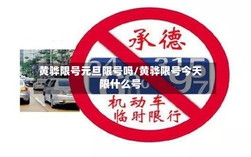 黄骅限号元旦限号吗/黄骅限号今天限什么号-第2张图片