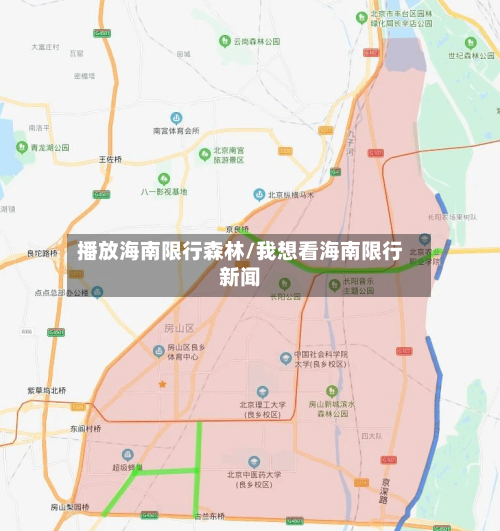播放海南限行森林/我想看海南限行新闻-第2张图片