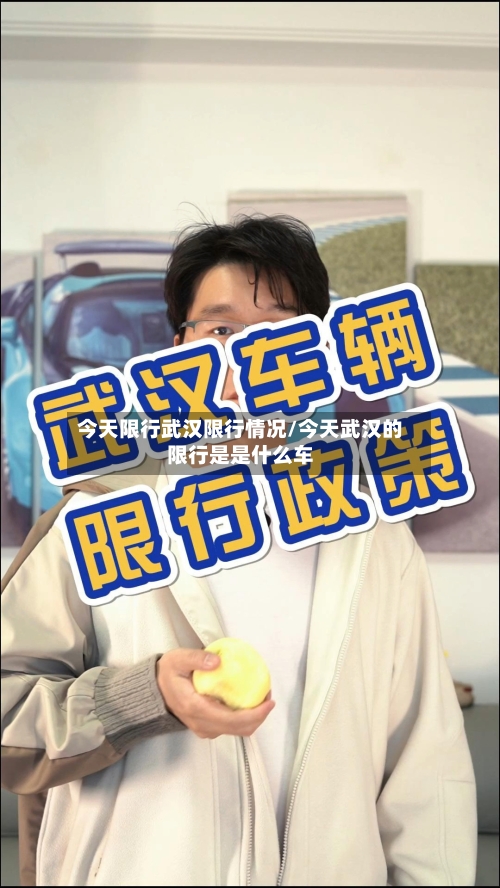 今天限行武汉限行情况/今天武汉的限行是是什么车
