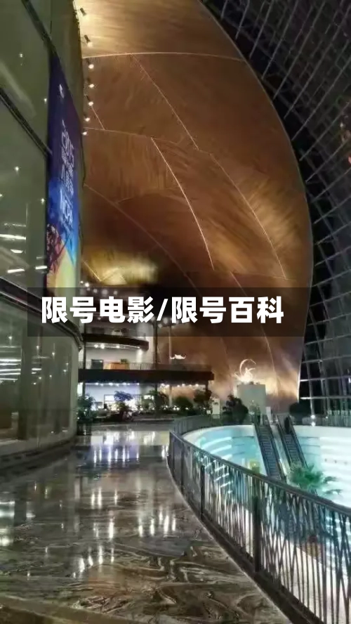 限号电影/限号百科-第2张图片