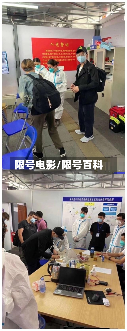 限号电影/限号百科