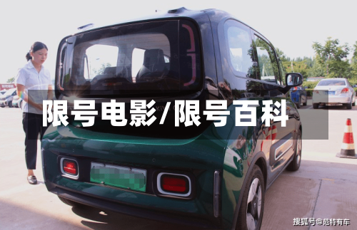 限号电影/限号百科-第3张图片