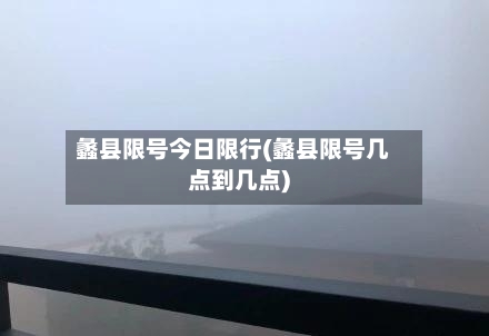 蠡县限号今日限行(蠡县限号几点到几点)-第3张图片