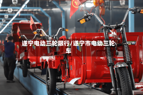 遂宁电动三轮限行/遂宁市电动三轮车-第2张图片