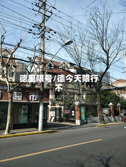 德里限号/德今天限行不-第3张图片