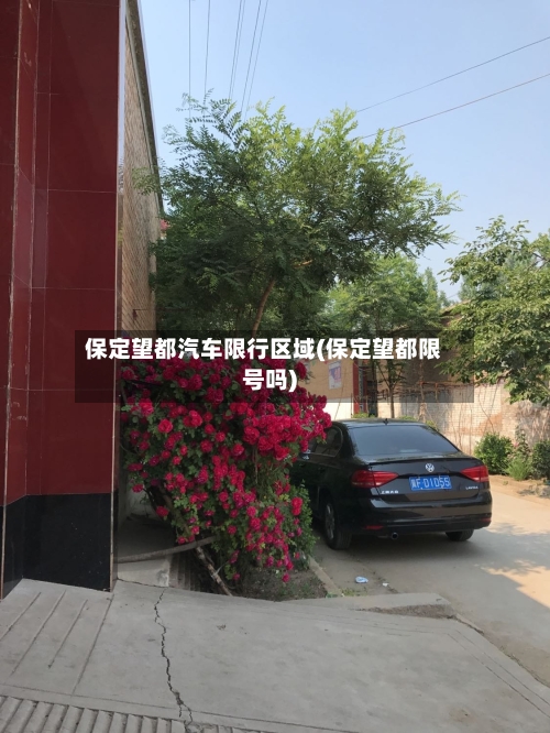 保定望都汽车限行区域(保定望都限号吗)-第2张图片
