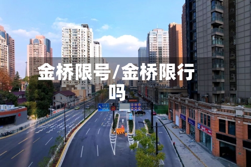 金桥限号/金桥限行吗-第2张图片