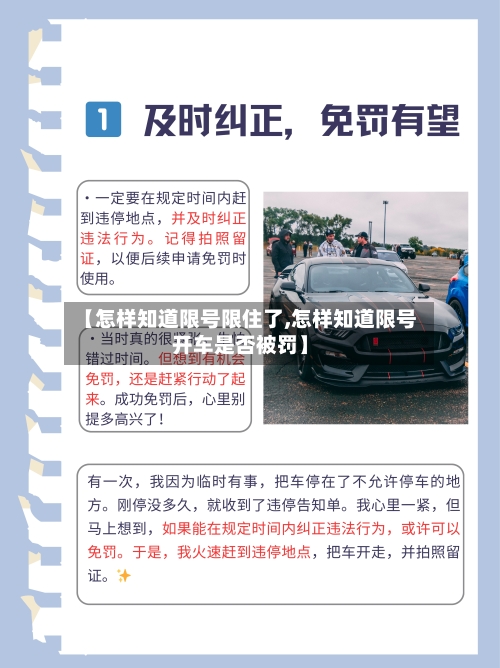 【怎样知道限号限住了,怎样知道限号开车是否被罚】-第2张图片