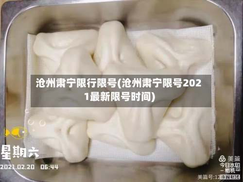 沧州肃宁限行限号(沧州肃宁限号2021最新限号时间)-第2张图片