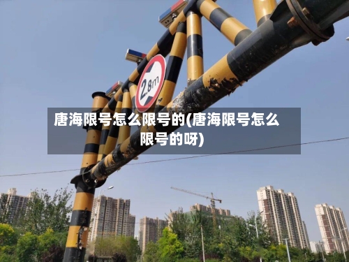 唐海限号怎么限号的(唐海限号怎么限号的呀)