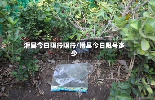 滑县今日限行限行/滑县今日限号多少-第2张图片