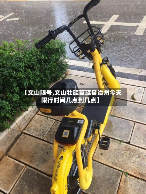 【文山限号,文山壮族苗族自治州今天限行时间几点到几点】-第2张图片