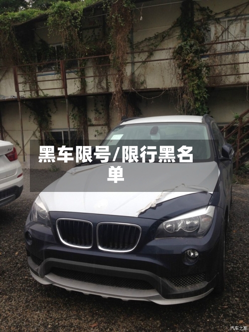 黑车限号/限行黑名单