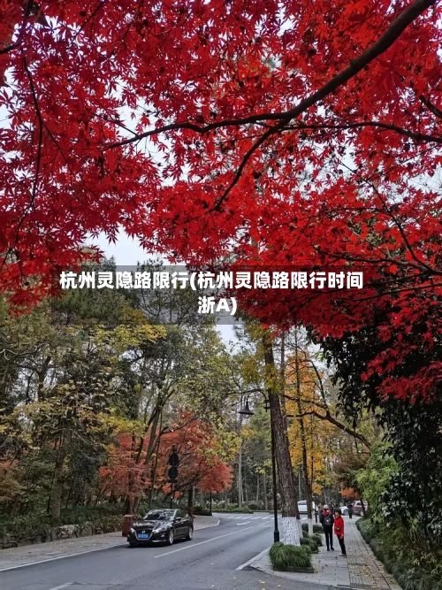 杭州灵隐路限行(杭州灵隐路限行时间浙A)
