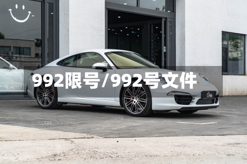 992限号/992号文件-第2张图片