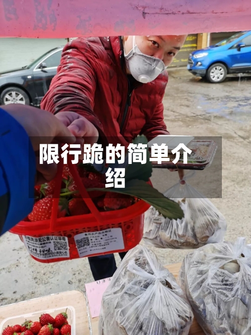 限行跪的简单介绍