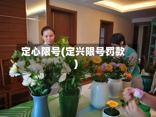定心限号(定兴限号罚款)