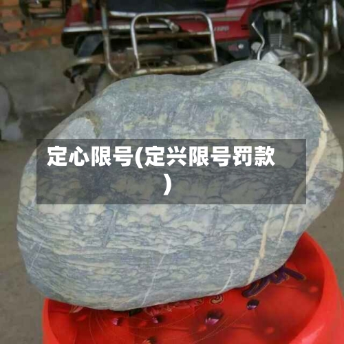 定心限号(定兴限号罚款)-第2张图片