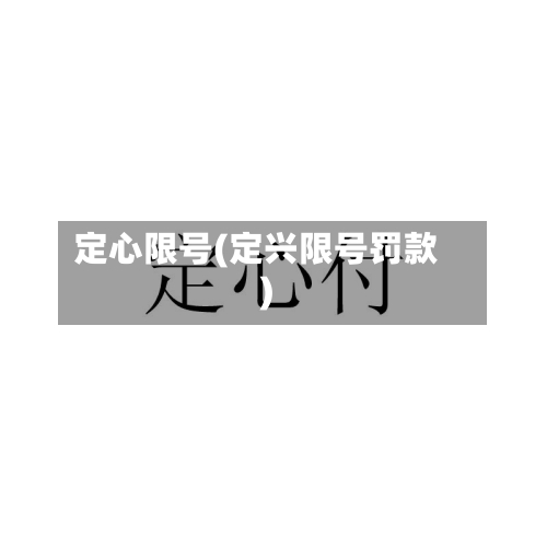 定心限号(定兴限号罚款)-第3张图片