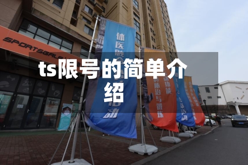 ts限号的简单介绍
