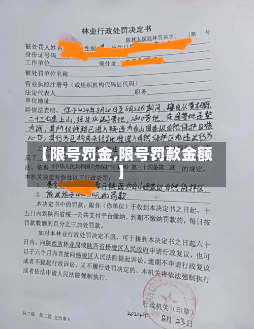 【限号罚金,限号罚款金额】-第3张图片