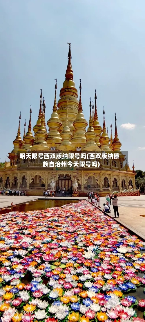 明天限号西双版纳限号吗(西双版纳傣族自治州今天限号吗)