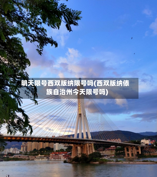 明天限号西双版纳限号吗(西双版纳傣族自治州今天限号吗)-第2张图片