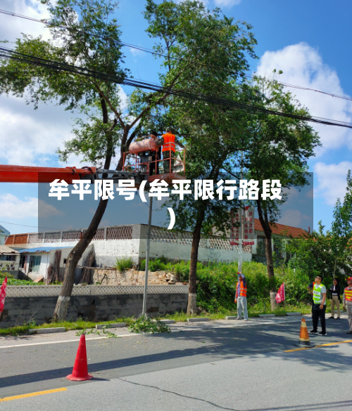 牟平限号(牟平限行路段)