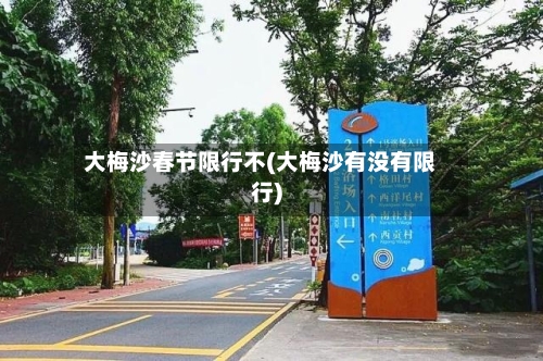 大梅沙春节限行不(大梅沙有没有限行)-第2张图片