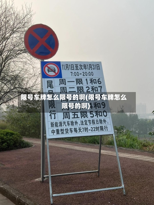 限号车牌怎么限号的啊(限号车牌怎么限号的啊)