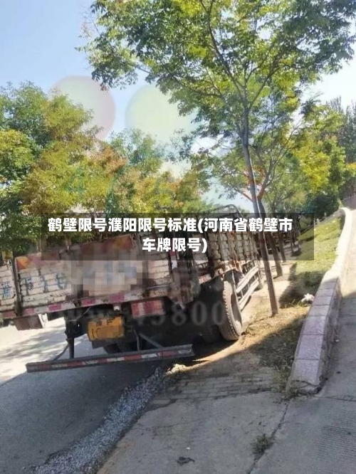 鹤壁限号濮阳限号标准(河南省鹤壁市车牌限号)-第2张图片