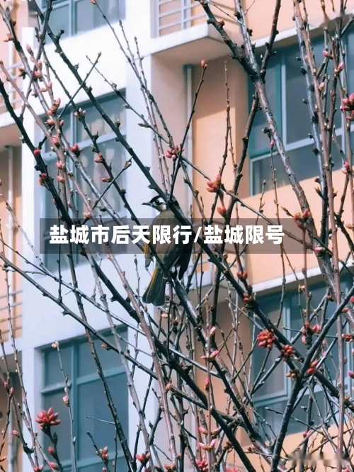 盐城市后天限行/盐城限号