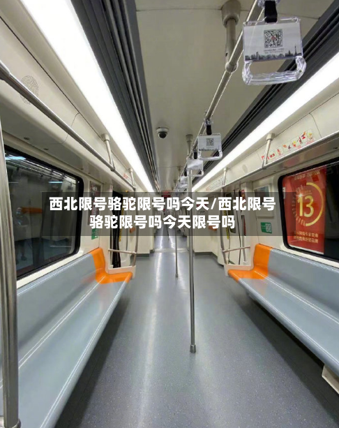 西北限号骆驼限号吗今天/西北限号骆驼限号吗今天限号吗-第3张图片